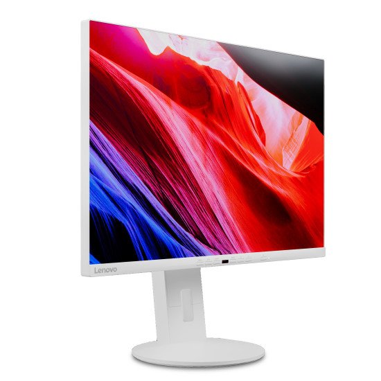 Lenovo C24d-20 LED display 61 cm (24") 1920 x 1200 pixels Full HD Gris, Blanc