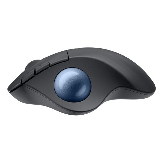 Logitech Ergo M575S souris Bureau Droitier RF sans fil + Bluetooth Trackball 2000 DPI