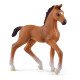 schleich HORSE CLUB Poulain Oldenbourg