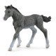 schleich HORSE CLUB Poulain Trakehnen