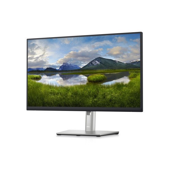 DELL P Series P2423D écran PC 23.8" 2560 x 1440 pixels Quad HD LCD Noir, Argent