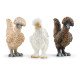 schleich Farm World Trio de poules