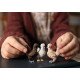 schleich Farm World Trio de poules