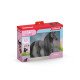 schleich HORSE CLUB Sofia's Beauties Jument Criollo - Sofias' Beauties