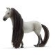 schleich HORSE CLUB Sofia's Beauties Starter Set Sofia & Dusty - Sofias' Beauties