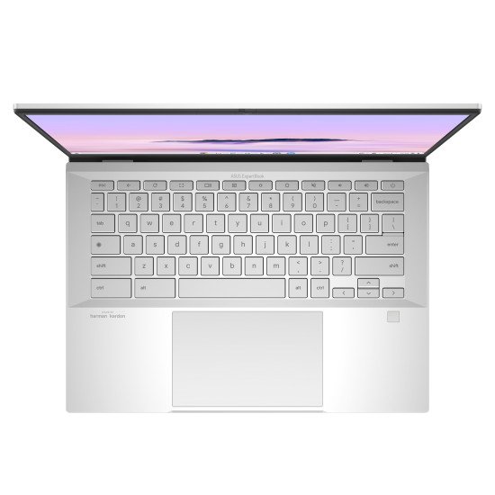 ASUS Chromebook CX5403CMA-QM0256 Intel Core Ultra 5 115U 35,6 cm (14") Écran tactile WQXGA 8 Go LPDDR5x-SDRAM 256 Go SSD Wi-Fi 6E (802.11ax) ChromeOS Argent