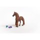 schleich HORSE CLUB Beauty Horse