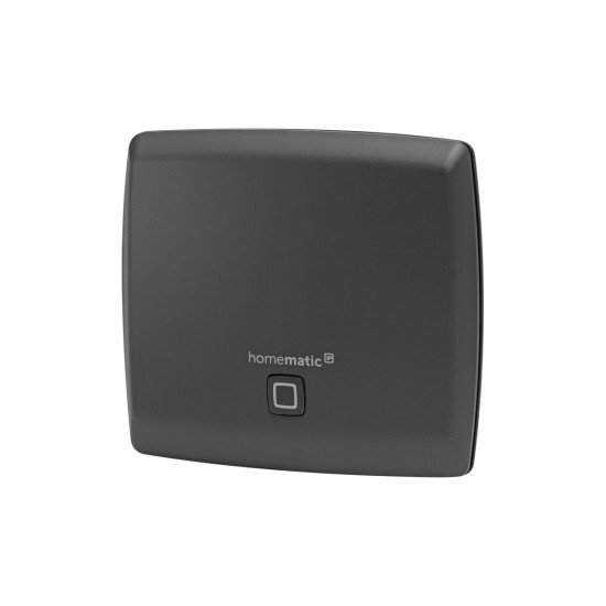 Homematic IP HmIP-HAP-A 100 Mbit/s Anthracite