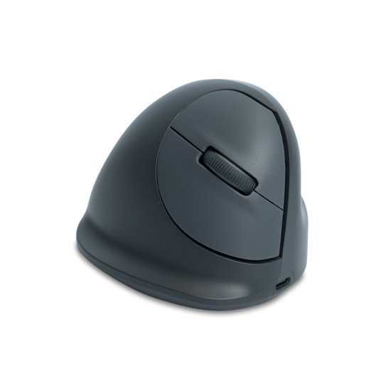 R-Go Tools Souris verticale R-Go HE Basic, ergonomique, droiter, moyen (longueur de la main 165-185 mm), bluetooth, gris