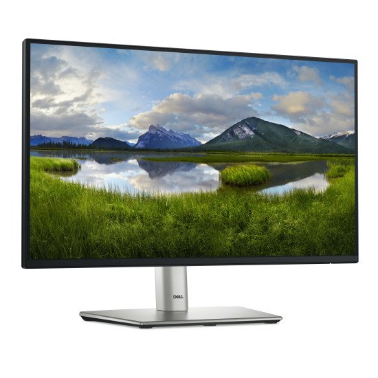 DELL P Series P2225H écran PC 54,6 cm (21.5") 1920 x 1080 pixels Full HD LCD Noir, Argent