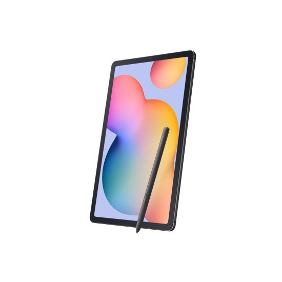 Samsung Galaxy Tab S6 Lite (2024) Wi-Fi 64 Go 26,4 cm (10.4") 4 Go Wi-Fi 5 (802.11ac) Gris