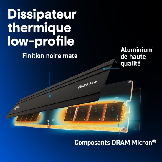 Crucial Pro module de mémoire 128 Go 2 x 64 Go DDR5 5600 MHz