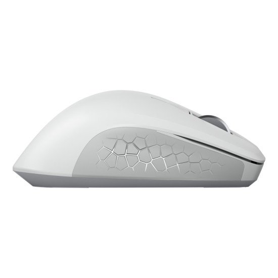 CHERRY JW-8550-0 souris Universel Droitier RF sans fil Optique 4000 DPI